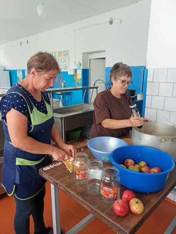 Заготовка яблочного варенья