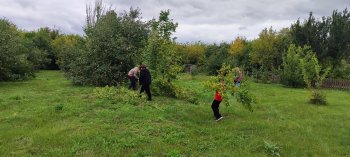 Благоустройство Сада памяти